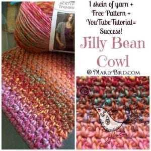 A colorful hand-crocheted cowl with a detailed stitch pattern displayed next to a skein of multicolored yarn and a free pattern booklet titled "Jilly Bean Cowl" by Marly Bird. -Marly Bird