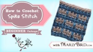 An instructional crochet image featuring a "How to Crochet: Spike Stitch" banner with a sample of spike stitch crochet in blue and beige, labeled as a beginner technique, alongside a whimsical bird graphic and text "with Marly Bird. -Marly Bird