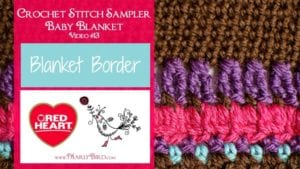 A promotional image for a crochet stitch sampler baby blanket, featuring close-up details of colorful crochet stitches and logos for Red Heart and MarlyBird.com. -Marly Bird