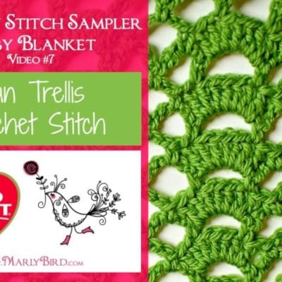 Fan Trellis Crochet Stitch