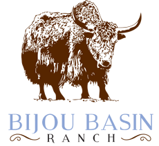 Bijou Basin Ranch Yarn