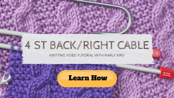 Beginner Knitting Basics Video Tutorial 4 Stitch Back Right Cable with Marly Bird