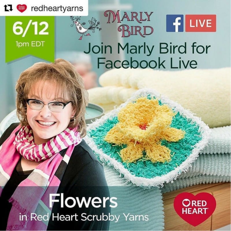 Knit and Crochet Flowers in Red Heart Scrubby Yarns-Red Heart 7 Months of Scrubby Facebook Live Video