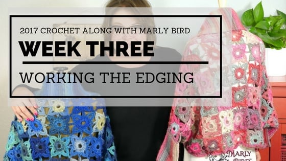 Marly Bird and Red Heart Crochet Along Week 3-Edging