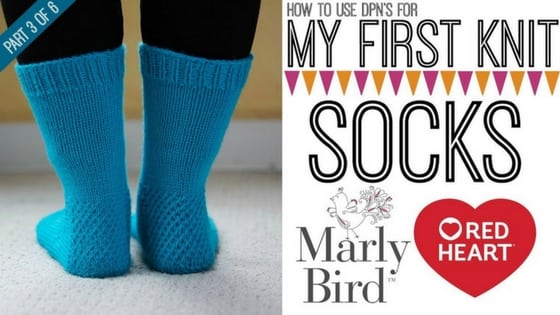 Spring My First Socks KAL with Marly Bird and Red Heart