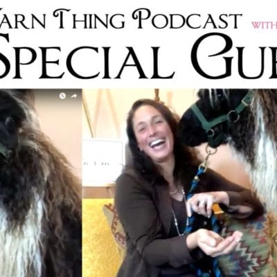 Long Island Yarn and Farm is our special guest on the Yarn Thing Podcast