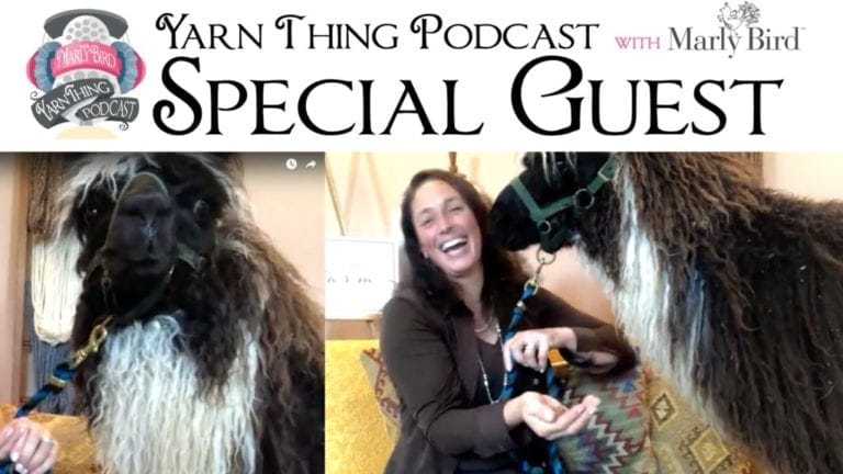 Long Island Yarn and Farm is our special guest on the Yarn Thing Podcast