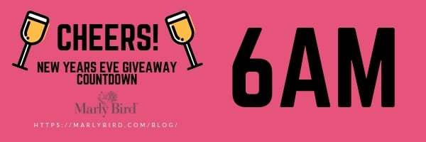 2019 Countdown to New Years Giveaway with Marly Bird