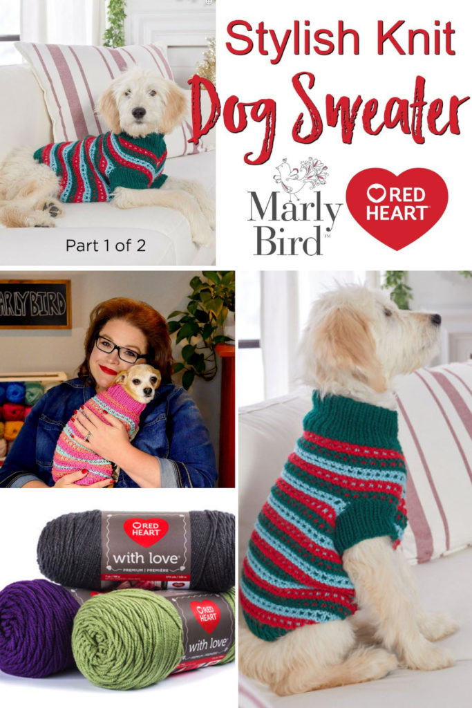 Video Tutorial-How to knit the Stylish Knit Dog Sweater - Marly Bird