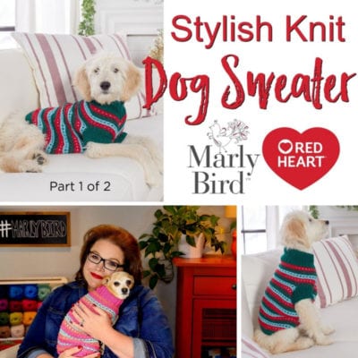 Stylish Knit Dog Sweater-Video Tutorial