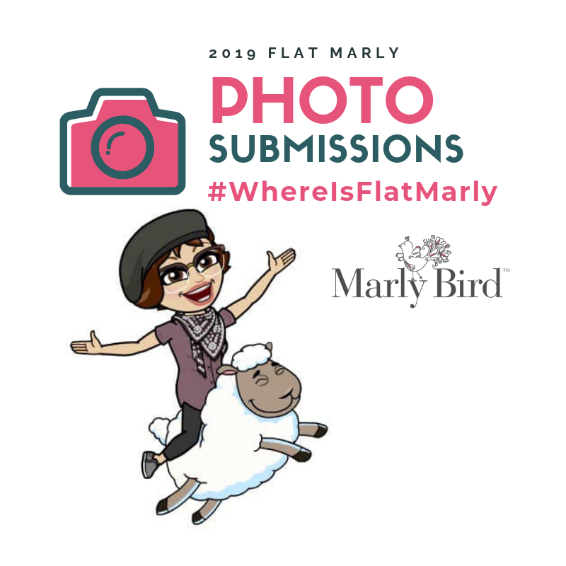 Enter your Flat Marly Photos over on the Marly's Minions Facebook Group