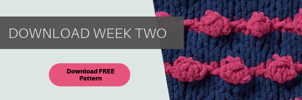 Download the week 2 pattern for the 2019 Bernat Stitch Along