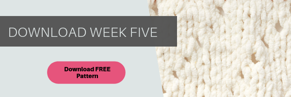 Download Week 5 of the Bernat Stich Along with Yarnspirations, JOANN and Marly Bird