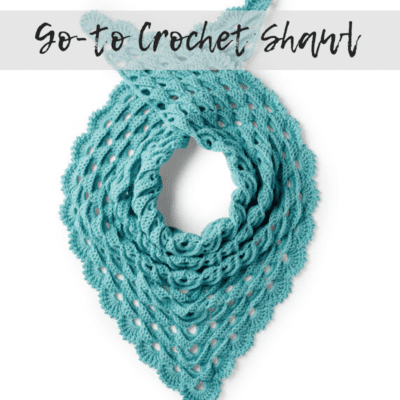 Favorite One Skein Crochet Shawl