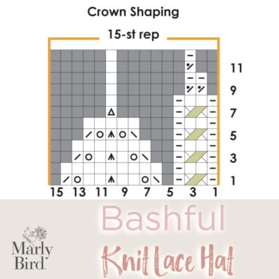Bashful Knit Lace Hat | Marly Bird