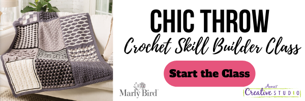 Chic Throw Beginner Crochet Blanket Skill Builder Class