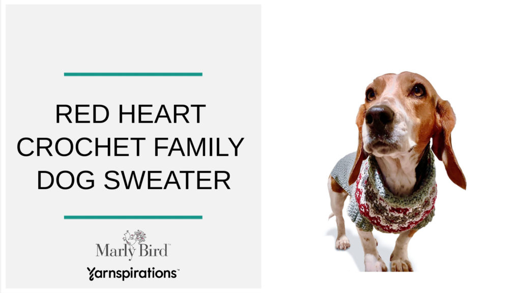 Free Crochet Dog Sweater Pattern: Keep Your Pup Cozy & Stylish!