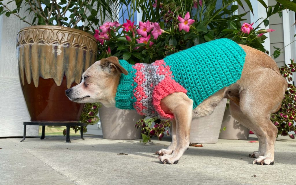 My Hobby Is Crochet: Ribby Dog Sweater