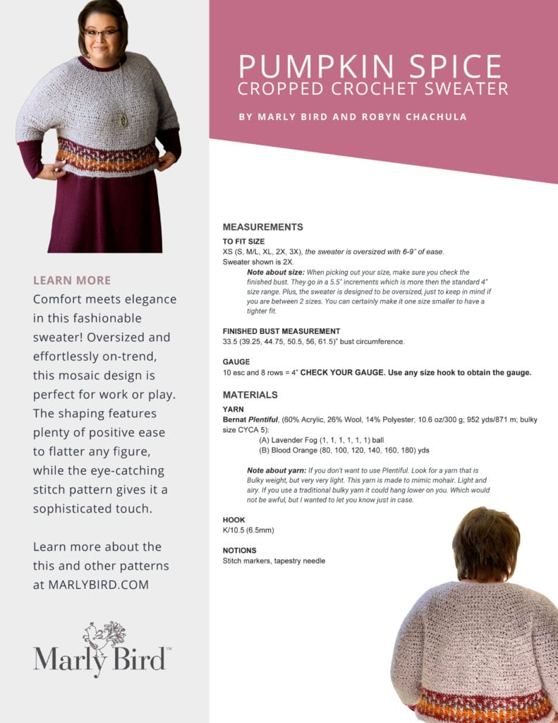 Pumpkin Spice Cropped Crochet Sweater PDF Cover for Purchase