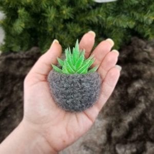 A hand holding a small, knitted, grey pot with a vibrant green crocheted succulent, featuring Marly Bird's knit and crochet patterns, set against a blurred background of greenery. -Marly Bird