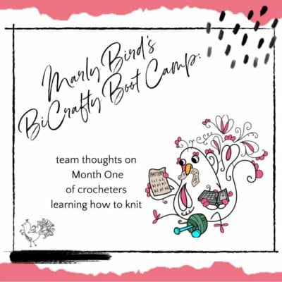 Marly Bird’s BiCrafty Boot Camp: Team Thoughts on Month One of Learning How to Knit