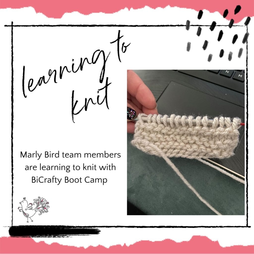 Learning to Knit with Marly Bird