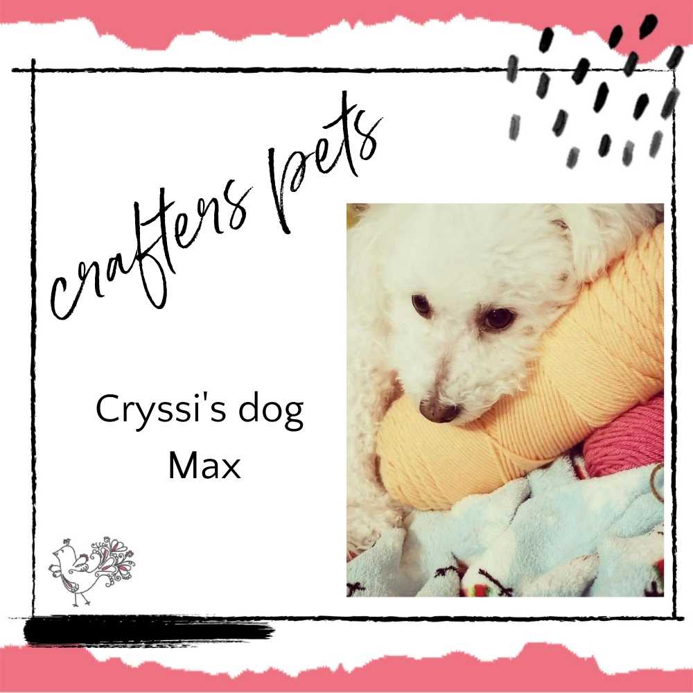 crafters pets: Max