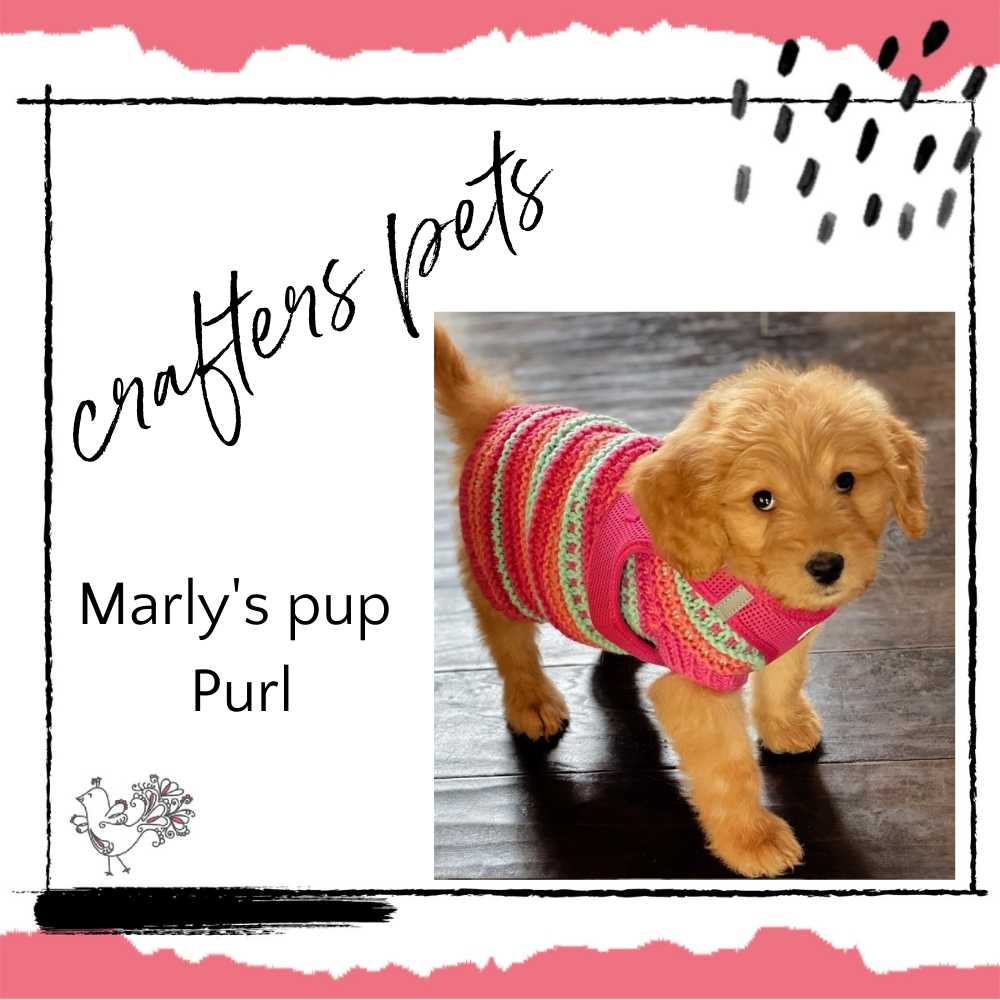 crafters pets: Purl