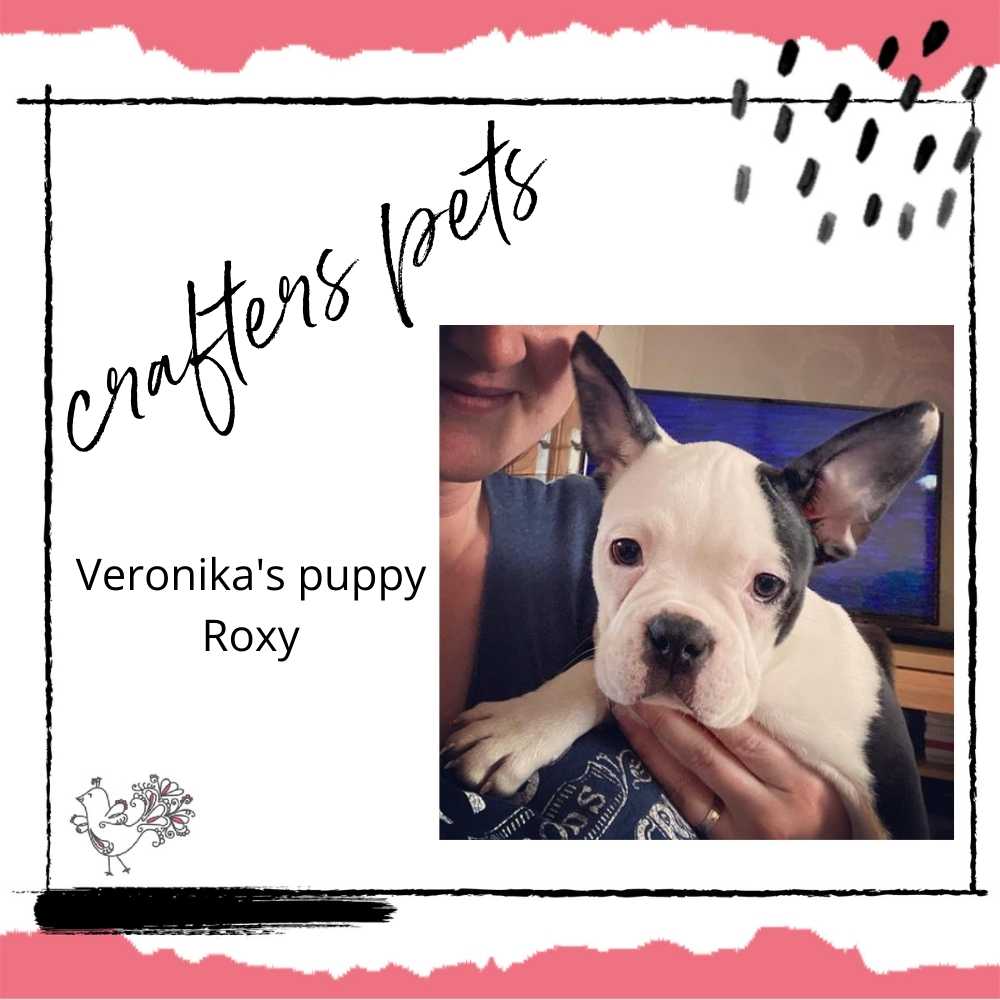 Crafters Pets: Puppy Roxy