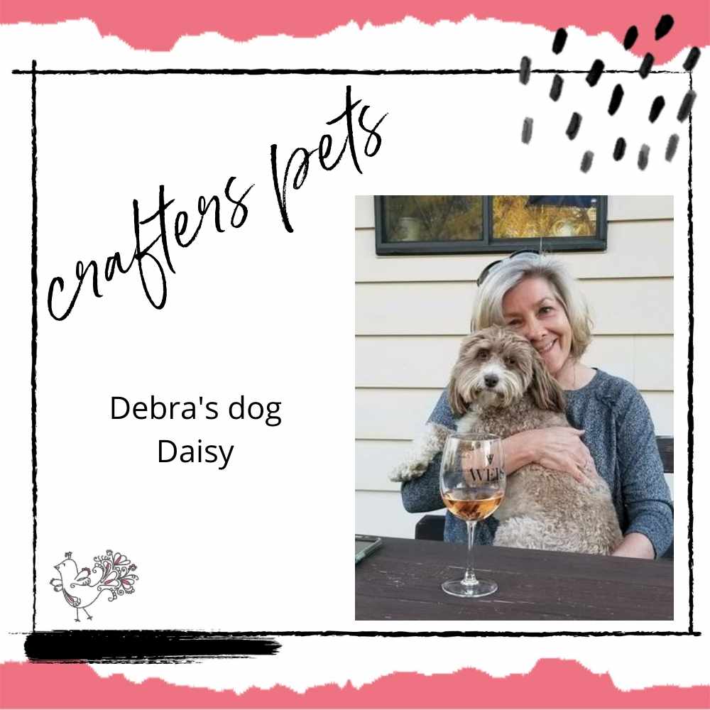 crafters pets daisy