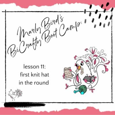 It’s Time To Start Your BiCrafty Bootcamp First Knit Hat! (Knitting Lessons for Crocheters, Lesson 11)