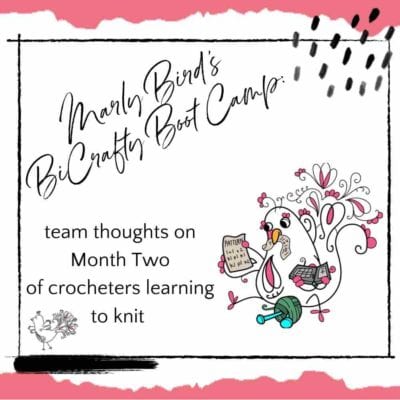 Marly Bird’s BiCrafty Bootcamp: Team Thoughts on Knitting Lessons Month Two