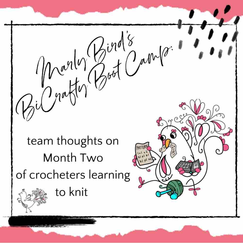 Marly Bird's BiCrafty Bootcamp Month Two