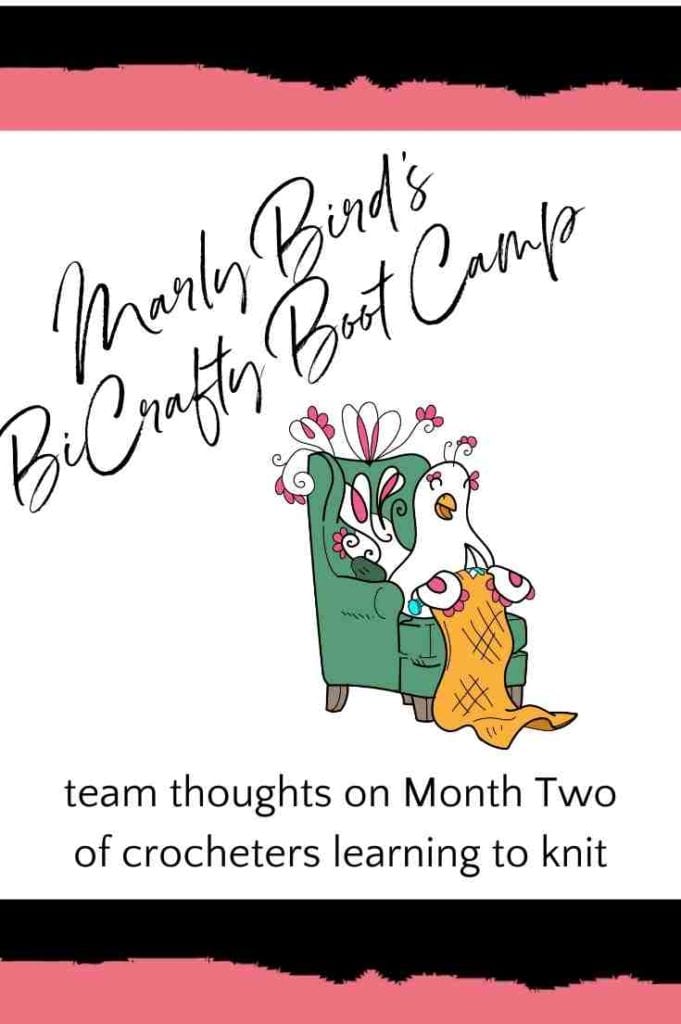 Marly Bird's BiCrafty Bootcamp Team Thoughts