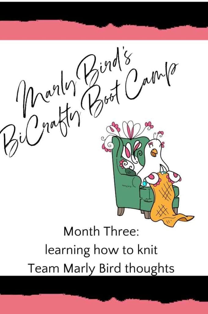 Learning How to Knit Thoughts From Team Marly Bird