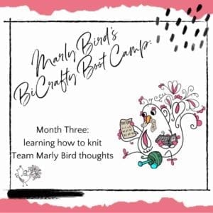 Marly Bird's BiCrafty Bootcamp learning how to knit thoughts