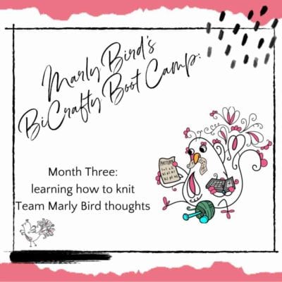 Learning to Knit Thoughts: Month Three Reflections on BiCrafty Bootcamp from the Marly Bird Team