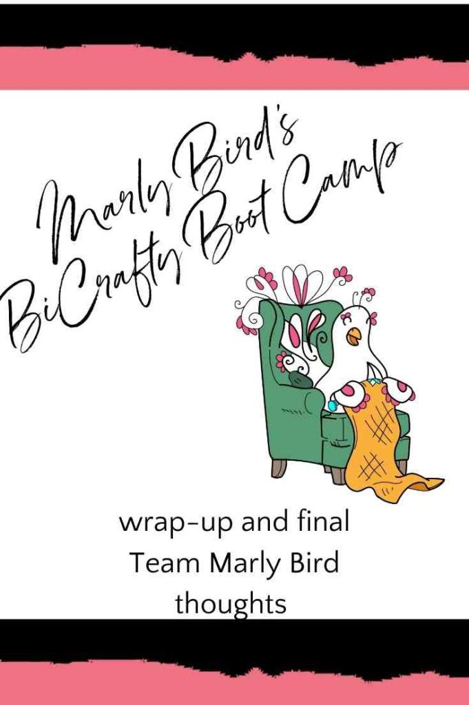 I Learned to Knit with Marly Bird's BiCrafty Bootcamp