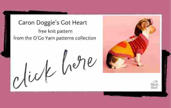 Caron Doggie Sweater in O'Go Yarn