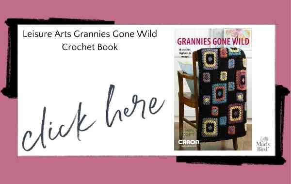 Leisure Arts Grannies Gone Wild Crochet Book