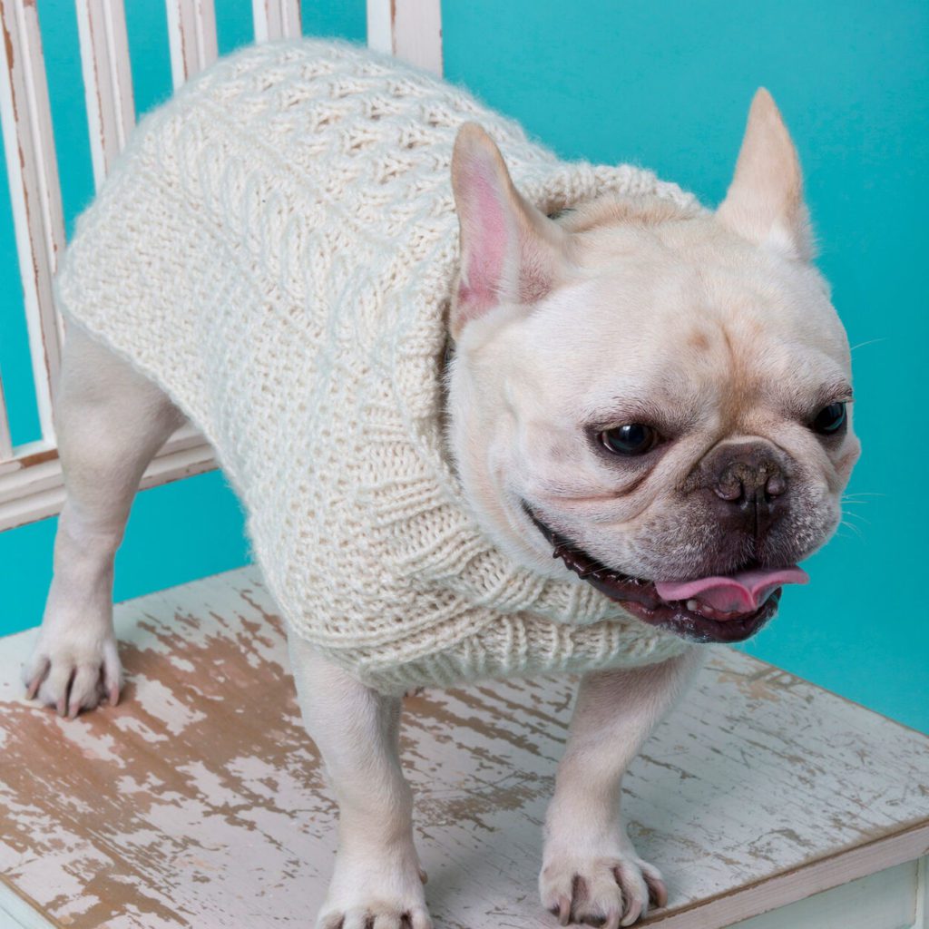 cable knit dog sweater free pattern