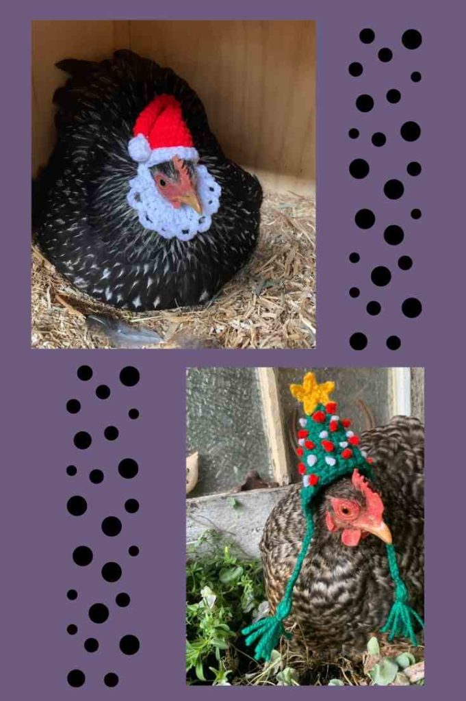 Crochet Chicken Hat Designs by HereChookChook