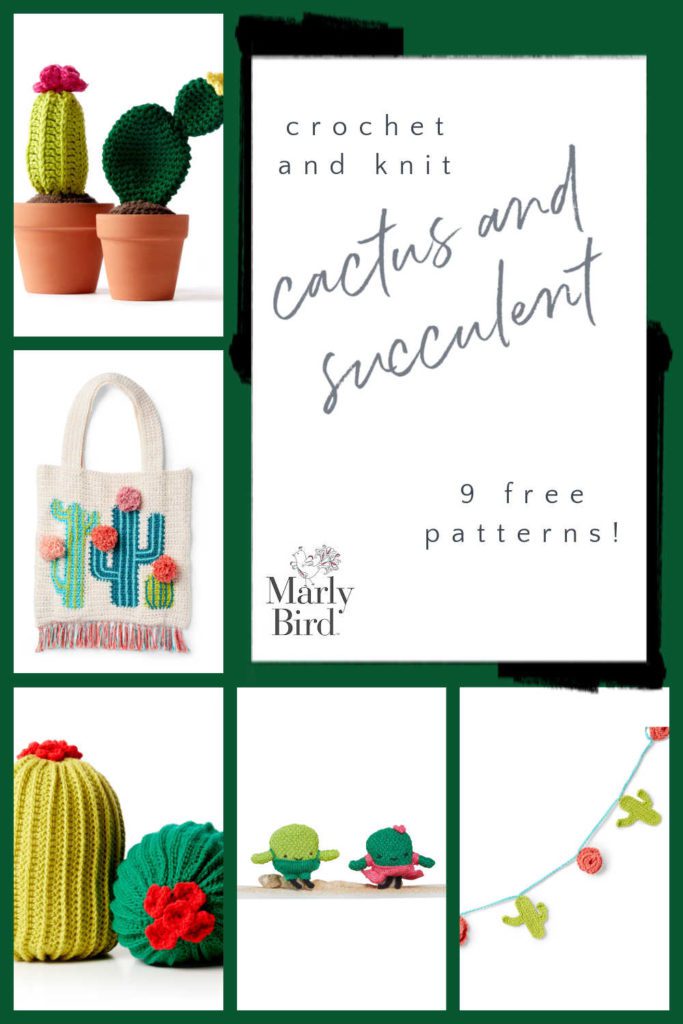 9 Free Cactus and Succulent Patterns | Knit and Crochet