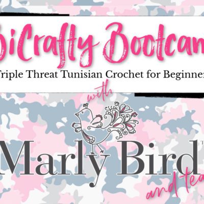 BiCrafty Bootcamp: Triple Threat Tunisian Crochet for Beginners – Lesson One