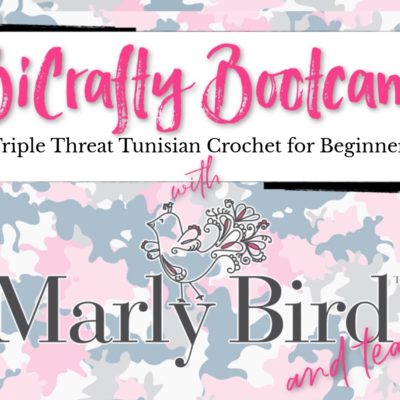 BiCrafty Bootcamp: Triple Threat Tunisian Crochet for Beginners – Lesson Four