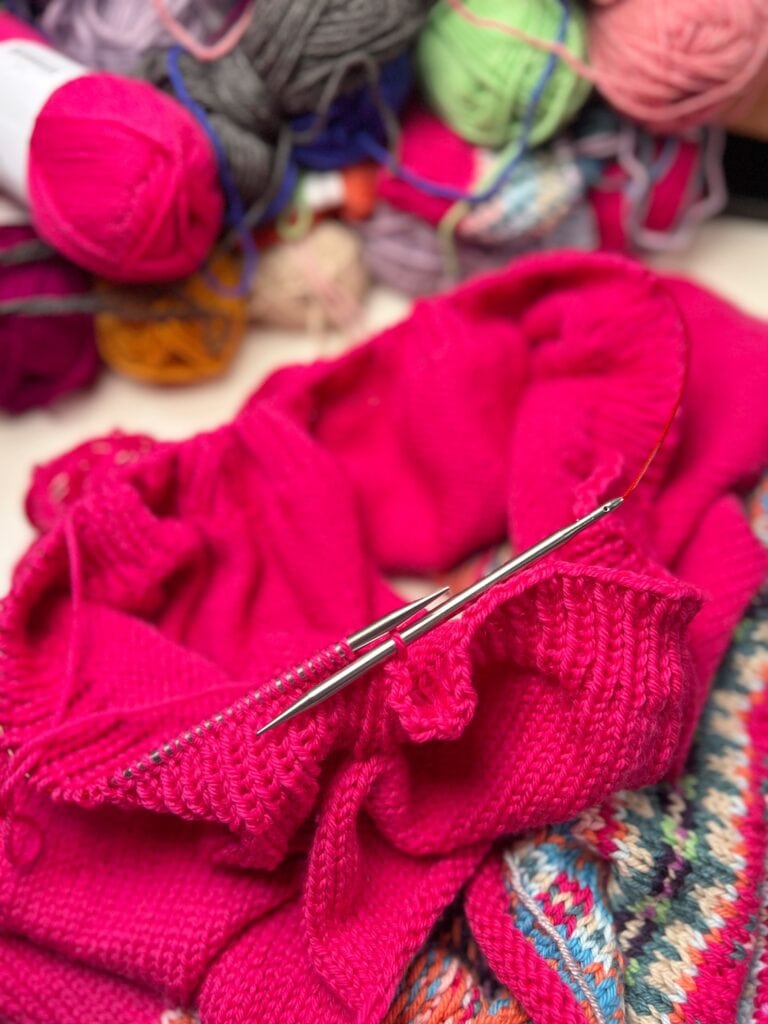A close-up of a bright pink knitting project on circular needles, with colorful skeins of yarn and a multicolored knitted item in the background. -Marly Bird