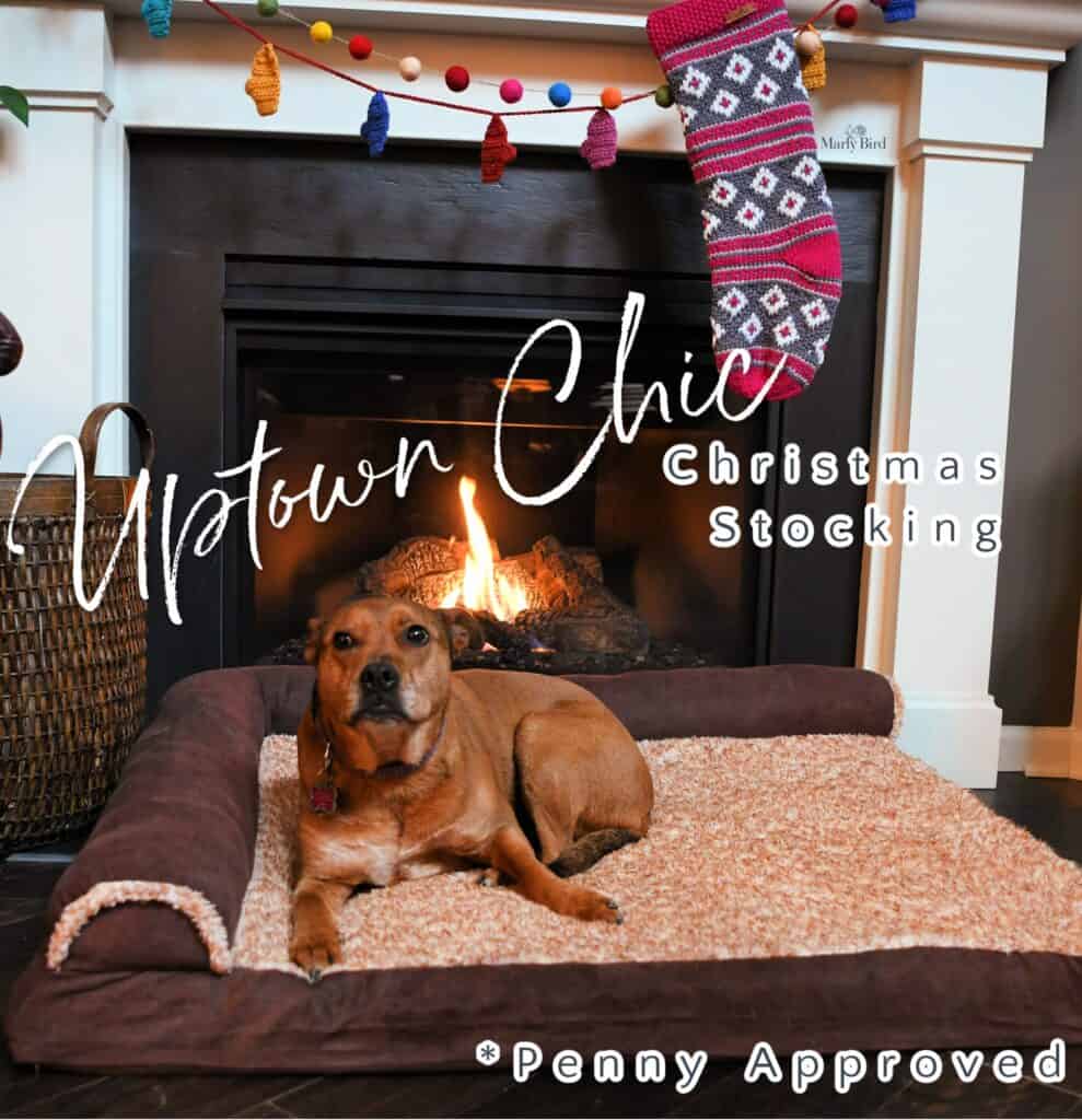 A brown dog lies on a cozy dog bed in front of a fireplace. Above, a colorful knit Christmas stocking hangs, with decorations on the mantle. Text on the image reads, "Uptown Chic Knit Stocking" and "*Penny Approved". -Marly Bird