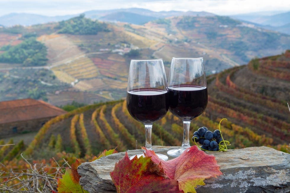 Two glasses of red wine with a bunch of grapes and autumn leaves, set against colorful vineyard hills.